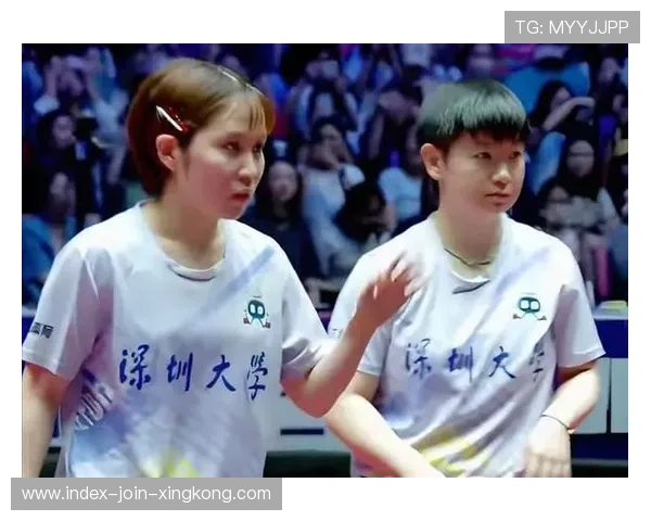 乒乓超级对决：中国 vs 德国火花四溅