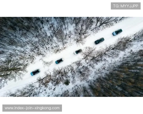 冰湖马拉松：全程冻结鞋底的极限挑战与体验